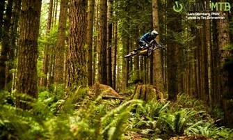 Vital Mtb Desktop Wallpaper Mountain Bikes Feature Stories