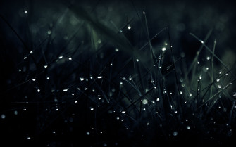 Best HD Wallpaper For Desktop
