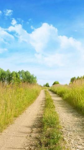Path iPhone 5s Wallpaper Beautiful Photography Nature