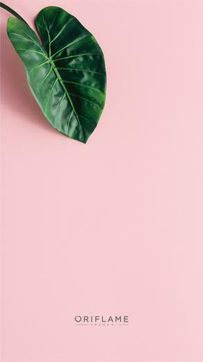 Laptop Background Flower Wallpaper