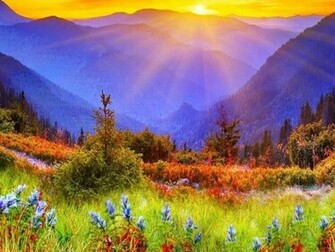 Rise And Shine Pictures Collection Mobogenie