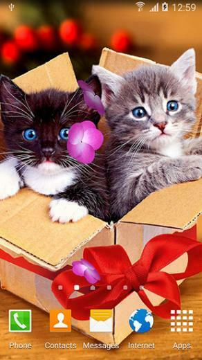 Cute Animals By Live Wallpaper 3d