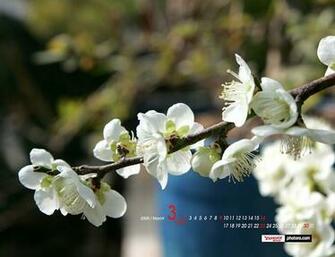 Flowers Wallpaper March Desktop Calendar