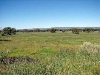 African Grasslands Background