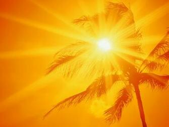Ala Moana Beach Park Oahu Hawaii Sun Shine HD