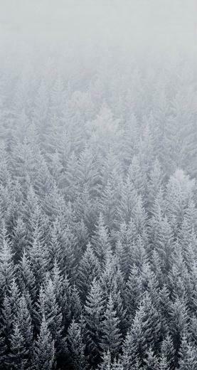 The Official Ios Wallpaper These Are Eleganttech Egis
