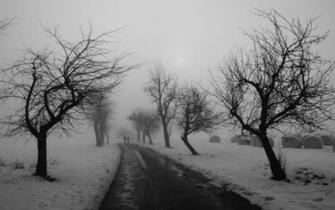 Fond D Cran Du Printemps Neige HD Wallpaper Hq