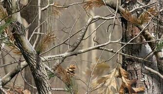 Realtree Ap iPhone Wallpaper Pin Camo Cake Ideas