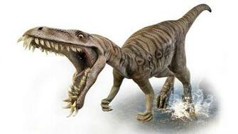Dinosaurs Photos