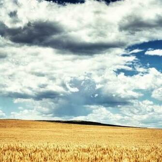Summer iPad Wallpaper