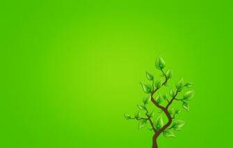 Wallpaper Leaves Drops Tree Minimalism Branch Greenish