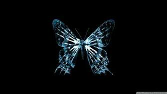Butterfly X Ray Wallpaper