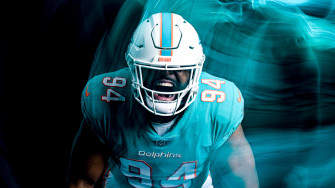 Dolphins Wallpaper Miami