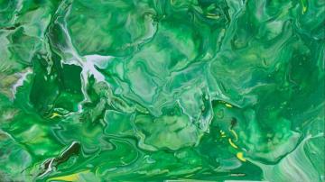Wallpaper Paint Liquid Stains Fluid Art Green HD Picture Image