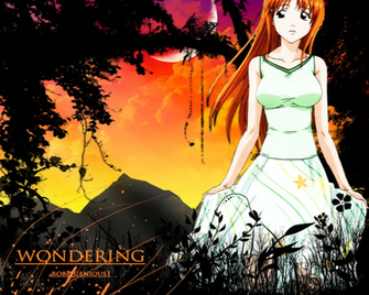 Bleach Anime Wallpaper Inoue Orihime