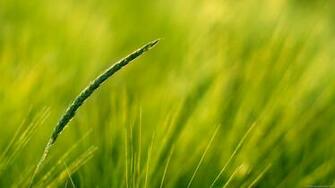 Nature HD Wallpaper Full 1080p Landscapes