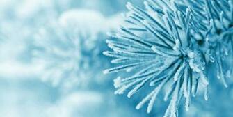 Cold Weather Brings Out The Climate Change Deniers Gene Karpinski
