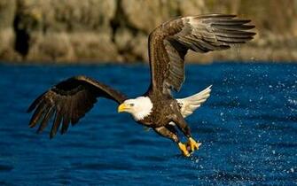 Hunting And Fishing Wallpaper Desktop HD