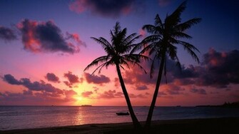 Tropical Sunset Widescreen Wallpaper