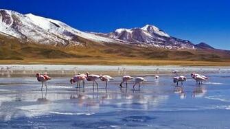 The Salar De Uyuni Salt Flats In Bolivia HD Wallpaper Background