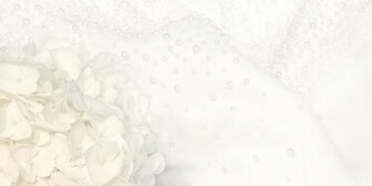 Graphics Sample