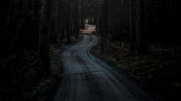 Dark Forest Wallpaper Top Best Background Image