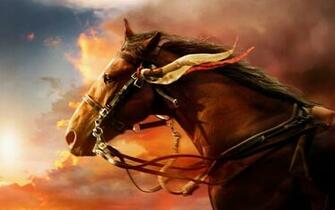 Pure High Definition HD You Can Cool Desktop Image For