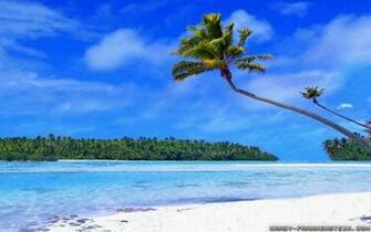 Beach Wallpaper Crazy Frankenstein