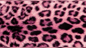 Pink Cheetah Print Dress Wallpaper