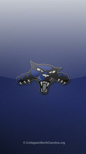 Panthers iPhone Wallpaper High Point