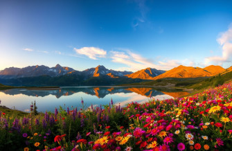 Nature HD Wallpaper 1080p Widescreen