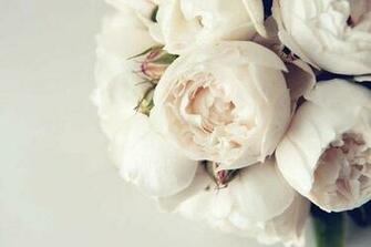 Immagine Bouquet Sposa Di Peonie Foto Riso Sorriso Wedding Event