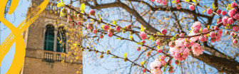 Campus Resources For Summer Term Students Uw Madison