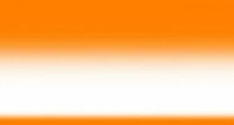 White And Orange Lovely Flowers Wallpaper Pictures