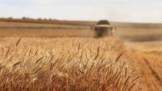 Crop Pictures HD Image