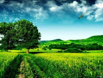 Beautiful Desktop Wallpaper Background Amazing