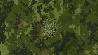 Camouflage Cadpat Wallpaper