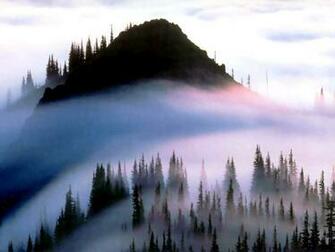 3d Wallpaper Olympic National Park