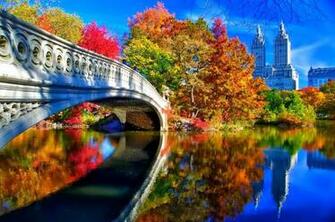 Central Park Background Net