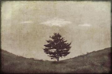 Amor Fati Jamie Heiden Photography