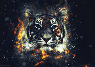 Cool Tiger Wallpaper