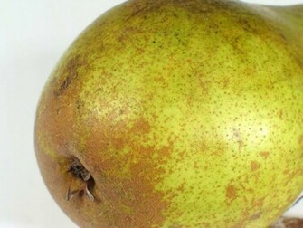 Food Pear Wallpaper