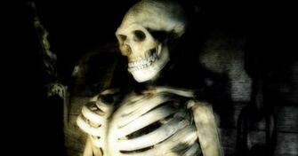 Wallpaper Skeleton