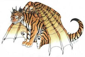 Tiger Dragon Graphics Code Comments Pictures