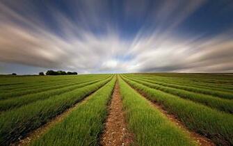 Nature Wallpaper 3d