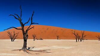 Dramatic Rise In Deaths Caused By Climate Change Brunel