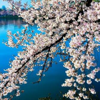 Surface Spring New iPad Air Mini Retina HD Background