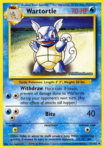 Pokemon Charmander Bulbasaur Squirtle Charizard Charmeleon Ivysaur
