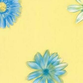 Girls Blue White Daisies On Yellow Wallpaper All Walls
