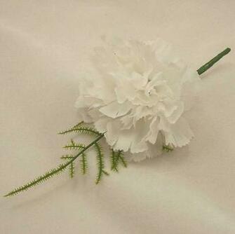 White Carnation Wallpaper